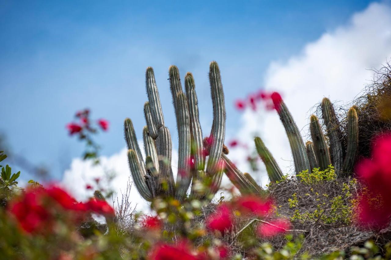 Le Soleil D'Or Hotel Cayman Brac Luaran gambar