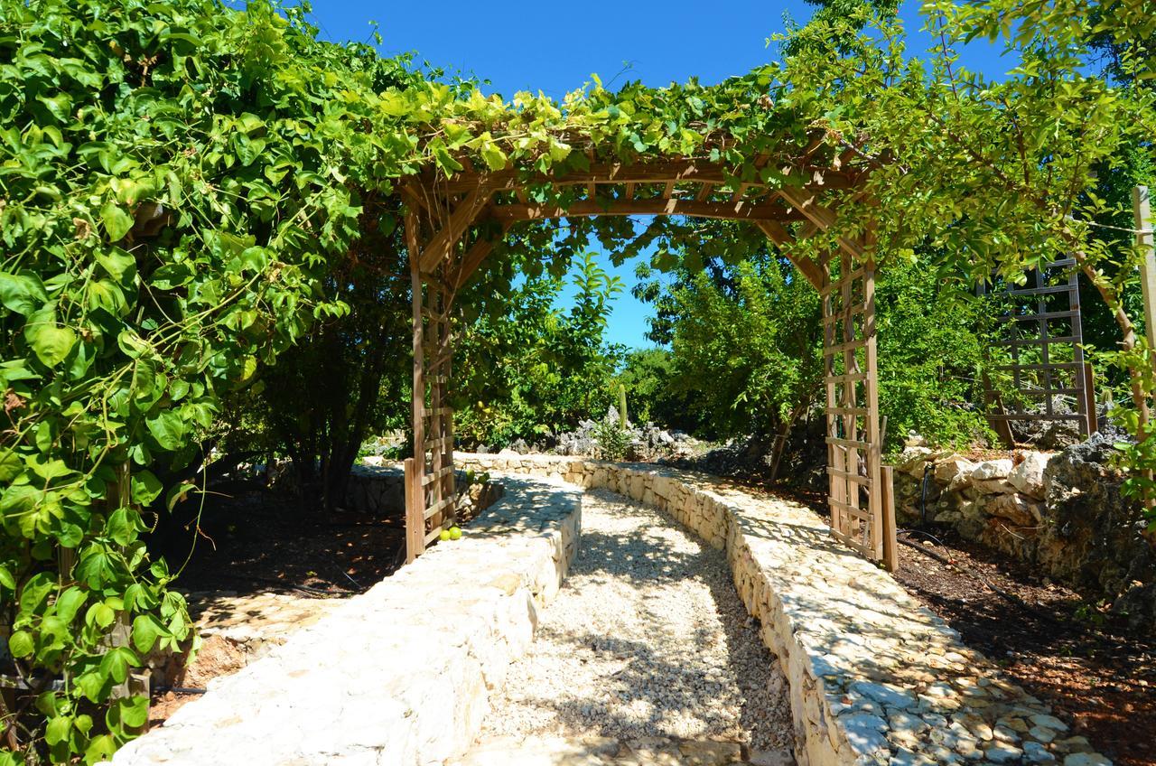 Le Soleil D'Or Hotel Cayman Brac Luaran gambar