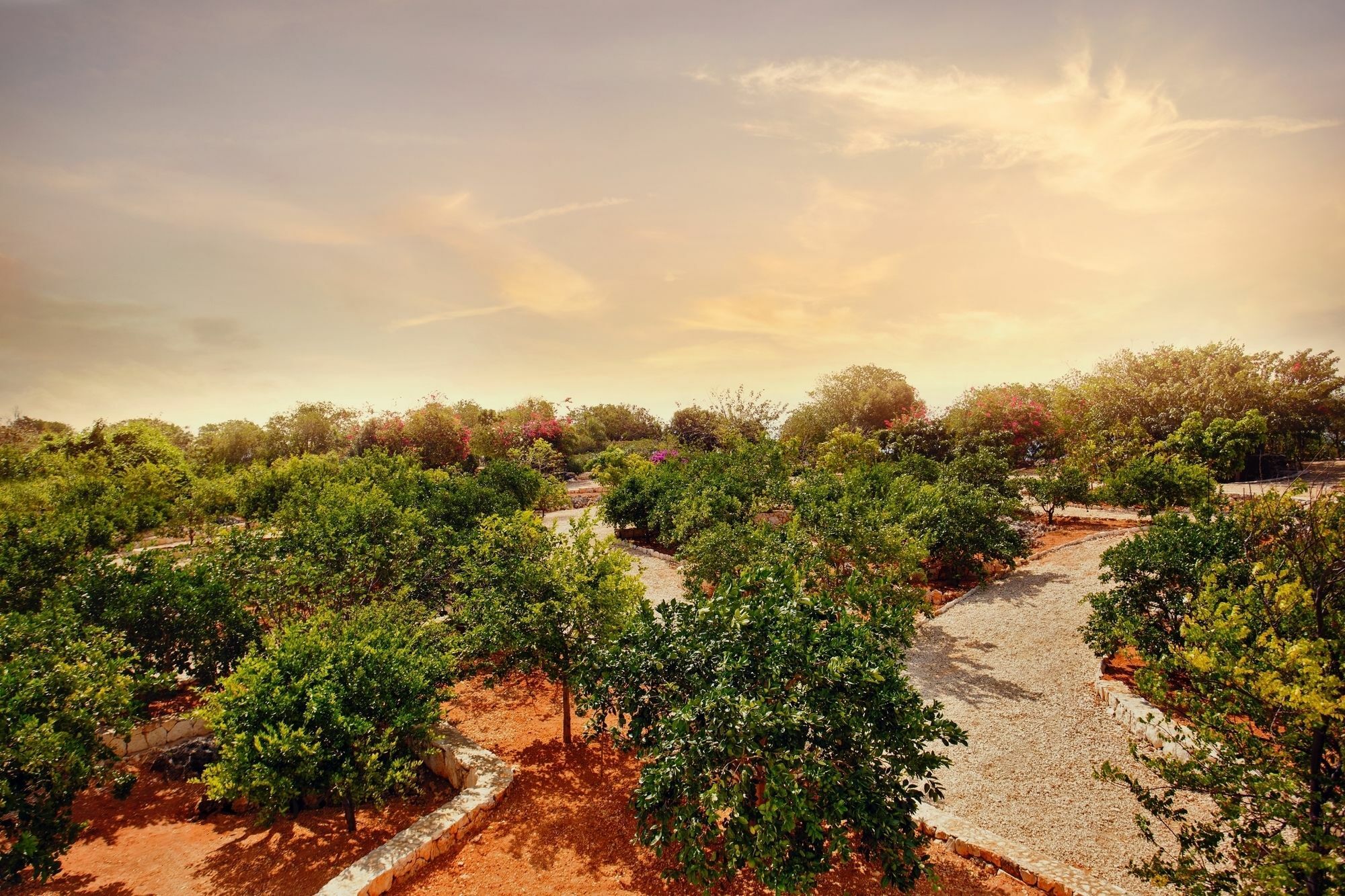 Le Soleil D'Or Hotel Cayman Brac Luaran gambar